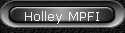 Holley MPFI