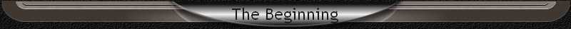 The Beginning