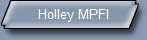 Holley MPFI