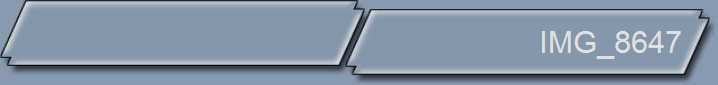 IMG_8647