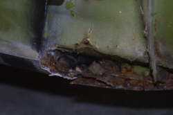180-8031_IMG